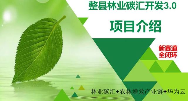 小额投资什么最赚钱又安全可靠，小额投资什么最赚钱又安全又可靠？