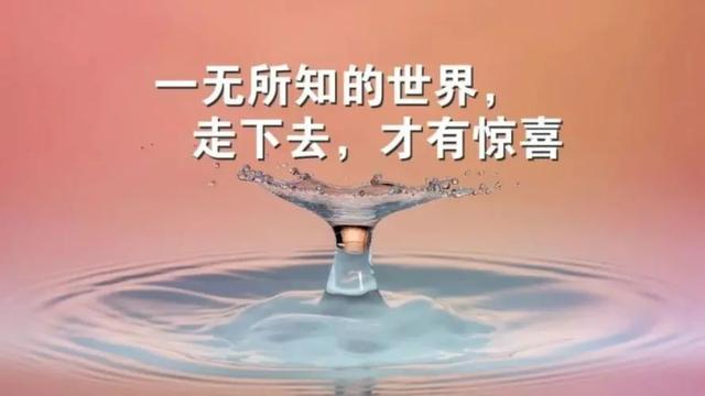 自媒体135官网首页，135编辑器素材？