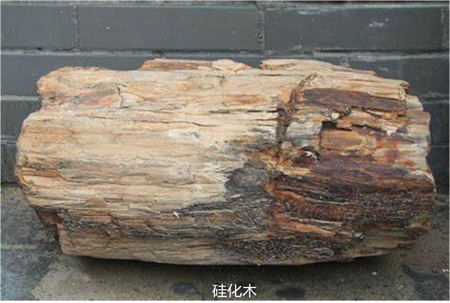 什么是化石_（什么是化石燃料英文回答）