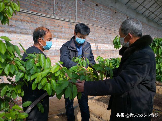 小背篓加盟费多少（小背篓加盟店）