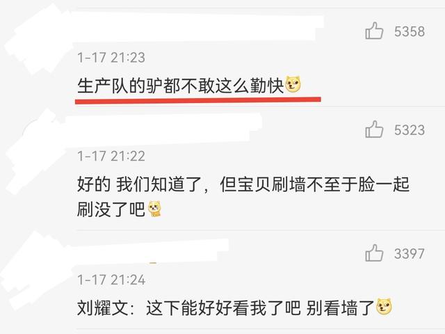 刘耀文好听的粉丝名，好听的刘耀文粉丝ID短？