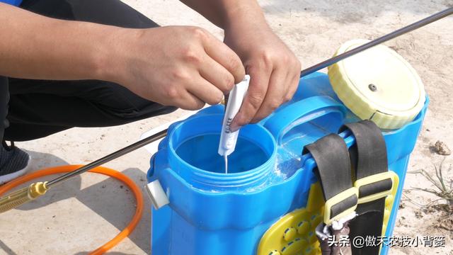 小背篓加盟费多少（小背篓加盟店）