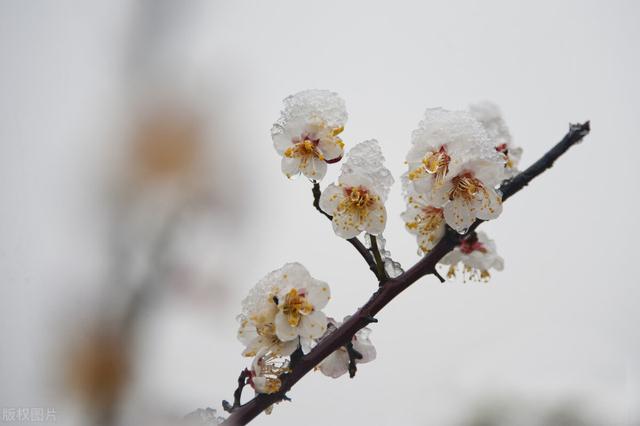 微信浏览朋友圈有记录吗，微信朋友圈有浏览足迹吗2021？