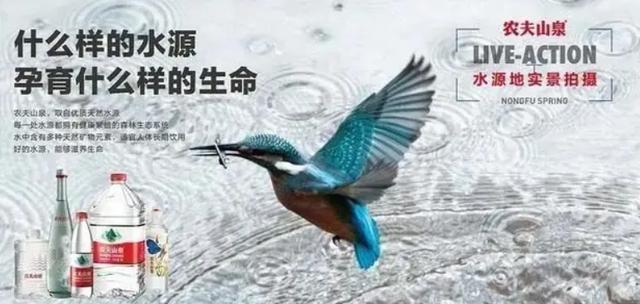元气森林营销策略分析方案（元气森林营销策略分析开题报告）