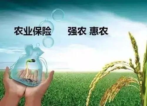 大学生创业成功率高吗，大学生创业成功的几率大吗？