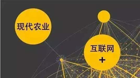 大学生创业成功率高吗，大学生创业成功的几率大吗？