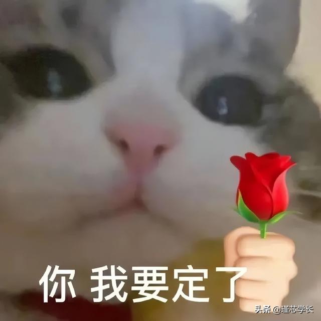 抖音最近很火的图片公主（抖音最近很火的图片可以制作视频的）