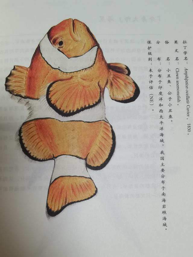 带孩子去海洋馆朋友圈文案简短可爱，带孩子去海洋馆朋友圈文案简短可爱图片？