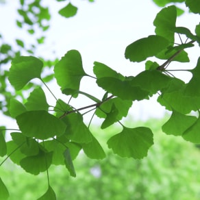 朋友圈真实美食图片，朋友圈真实美食图片高清？