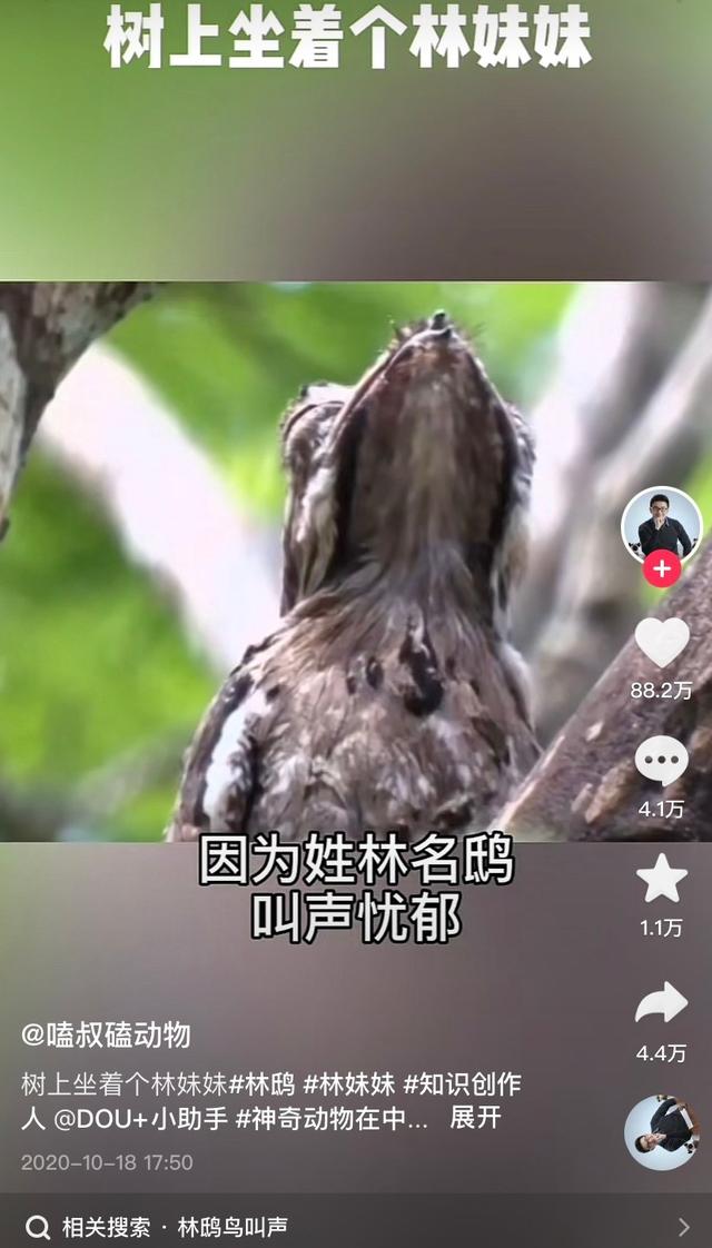 抖音视频的神评论，抖音神评论是什么意思？