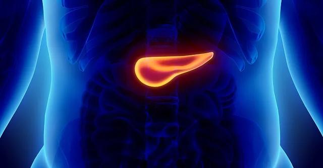 胃与胰腺位置图片（脾脏胰腺位置图片）