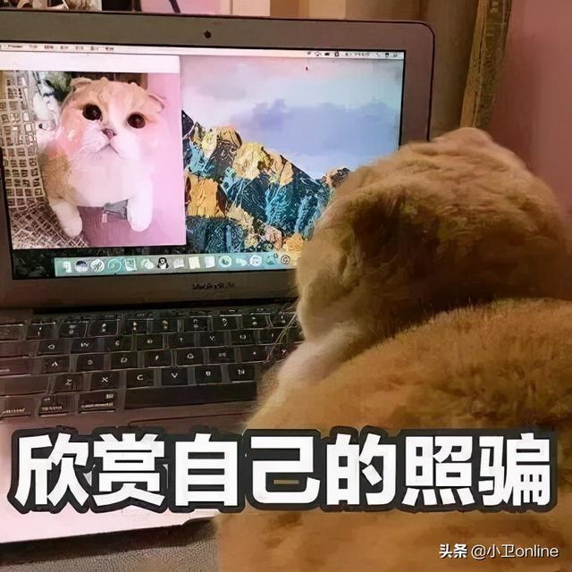 小红书画画图片大全可爱吃的小视频，小红书画画简单又可爱？