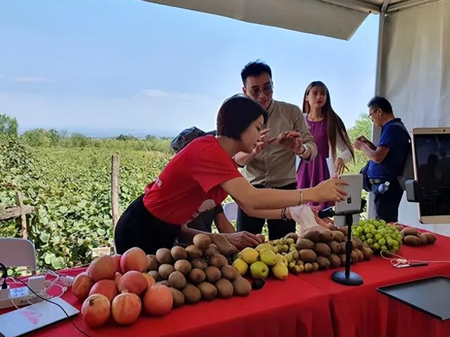 没本钱在农村做什么好，农村没本钱种什么好？