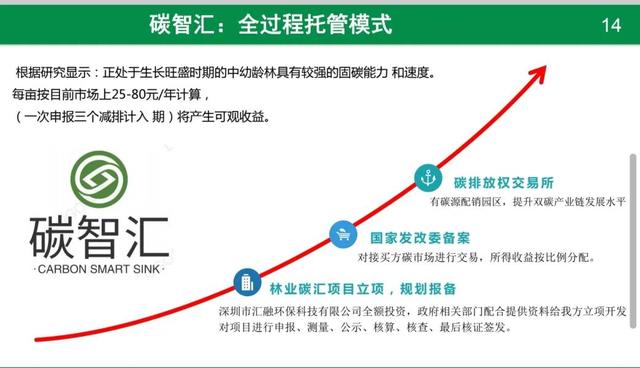 小额投资什么最赚钱又安全可靠，小额投资什么最赚钱又安全又可靠？
