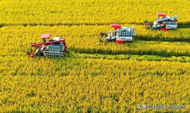 千鲜汇是什么平台（千鲜汇平台怎么样）