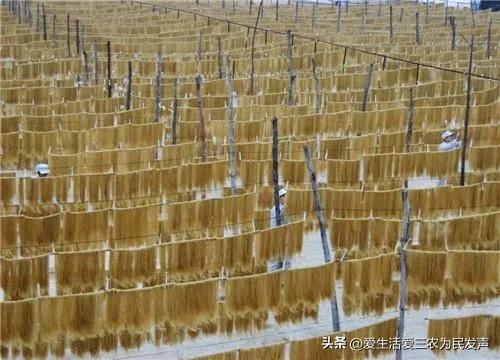 现在的农村做什么生意赚钱，今年农村做什么生意赚钱？