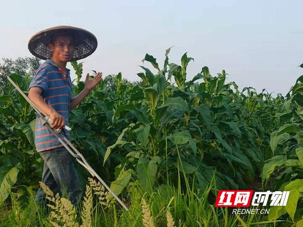 乡镇创业小项目_个人创业，乡镇创业小项目推荐？