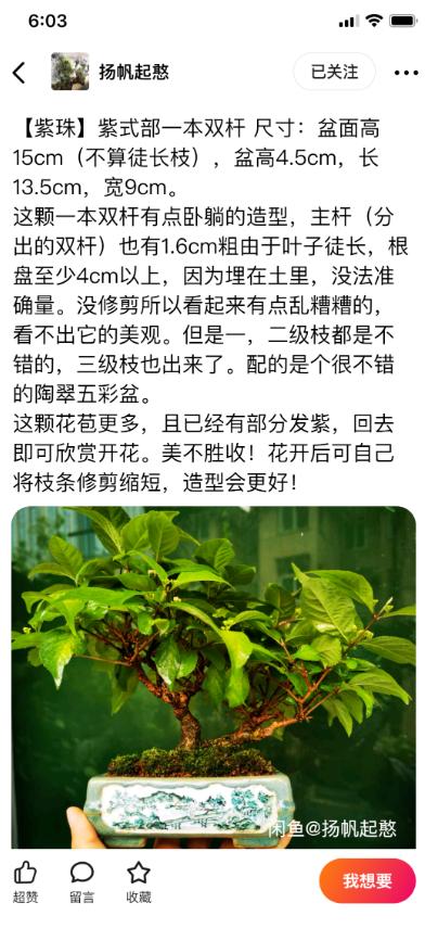 闲鱼简介怎么写吸引人关注（闲鱼简介怎么写吸引人进店）