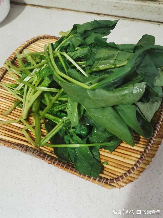 红根菠菜拌粉丝的做法，红根菠菜拌粉丝的做法窍门？