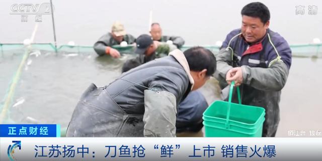 目前淡水鱼养什么鱼赚钱快些，目前淡水鱼养什么鱼赚钱快一点？