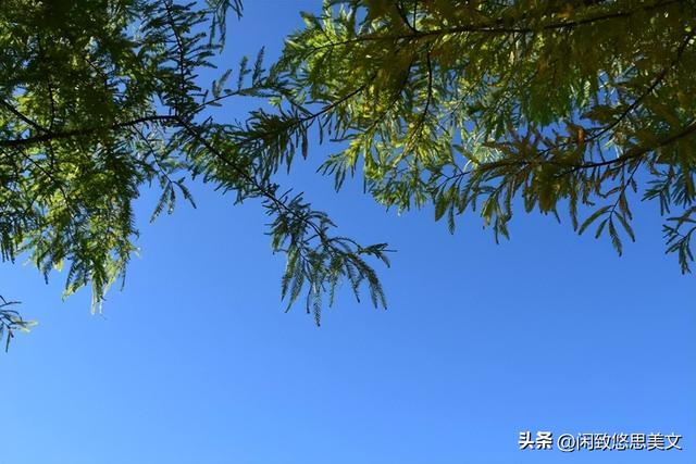 感叹岁月流逝唯美句子，感叹孩子一眨眼就长大了的句子幽默语句？