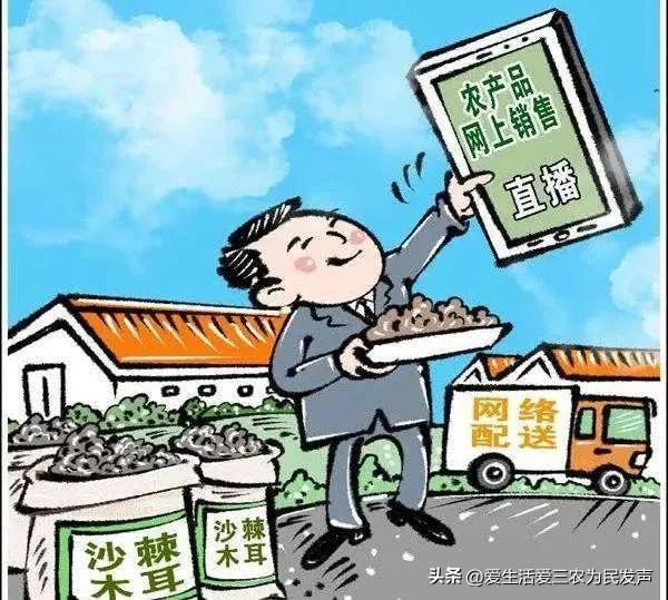 海南农村做什么生意赚钱，农村做什么生意赚钱投资不大？