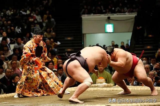 相扑是什么意思_（日本的相扑是什么意思）