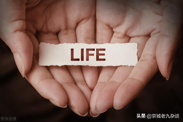 发什么作品涨粉丝快（什么类型作品涨粉丝最快）