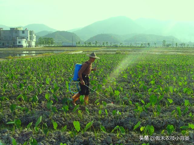 小背篓加盟费多少（小背篓加盟店）