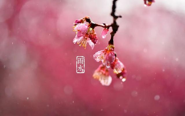 高情商下雨天发朋友圈，高情商下雨天发朋友圈文案？