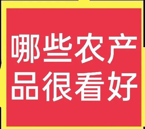 新型农业项目，农业好项目致富十分快？