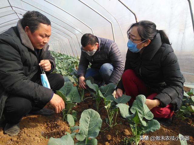 小背篓加盟费多少（小背篓加盟店）
