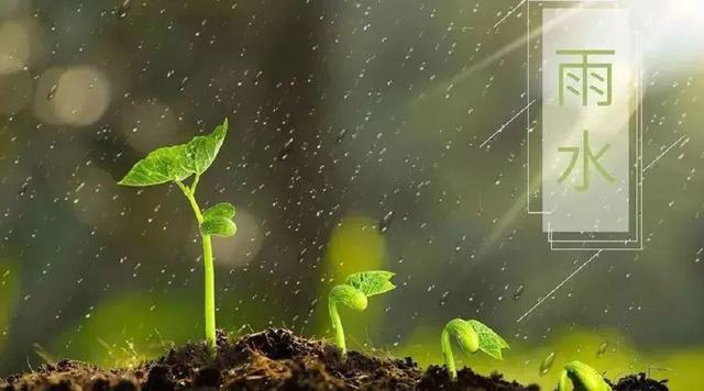 高情商下雨天发朋友圈，高情商下雨天发朋友圈文案？