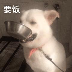 抖音最近很火的图片公主（抖音最近很火的图片可以制作视频的）