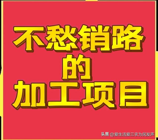 农村办厂好项目推荐，推荐多个适合农村办厂的项目？