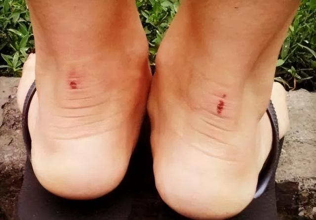 nike袜子尺码对照表，日本袜子尺码对照表？