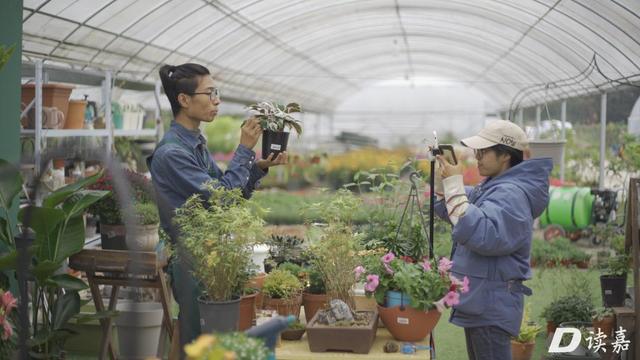 有600万粉丝一天赚多少，600万粉丝能挣多少钱？