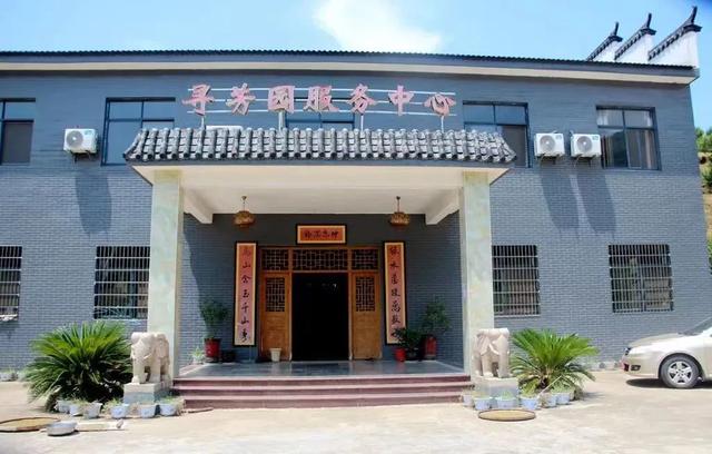 企业自媒体怎么运营，自媒体是运营吗？