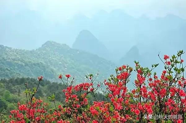 开店做生意讲究风水吗（开店做生意的技巧口才）