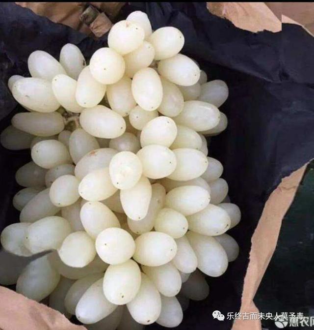 朋友圈卖水果怎么推广，网上怎么销售自家水果？