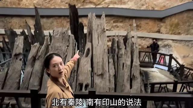 全球直播之盗墓之王下载，全球直播之明星盗墓_小说？