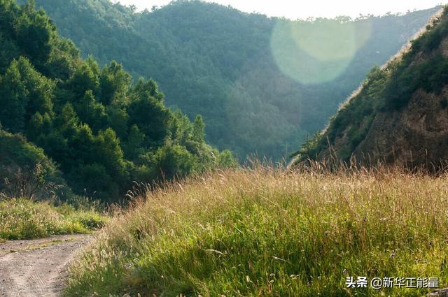 朋友圈感恩的句子经典语录，懂的感恩的朋友圈？