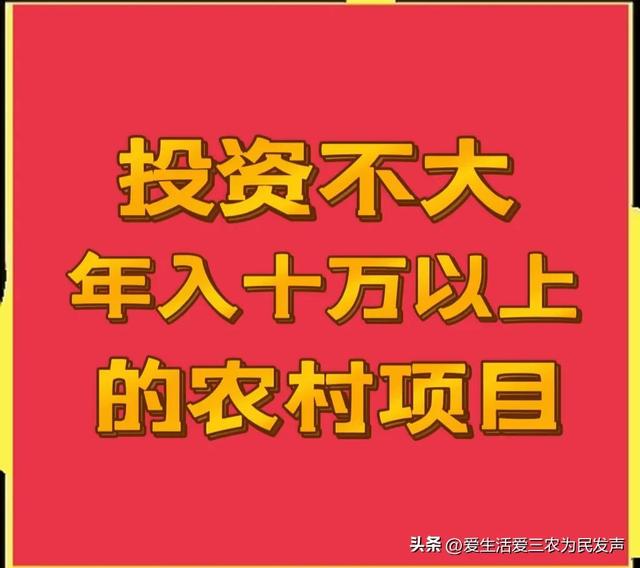 现在的农村做什么生意赚钱，今年农村做什么生意赚钱？