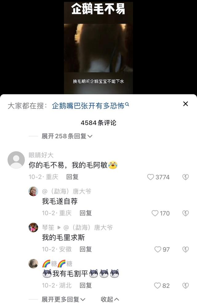 抖音视频的神评论，抖音神评论是什么意思？