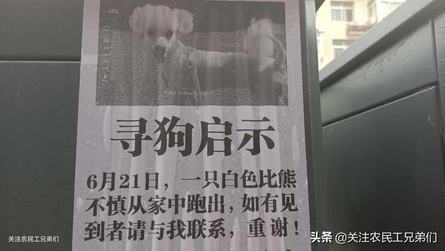 怎么赚钱白手起家，赚钱的门路_创业致富？