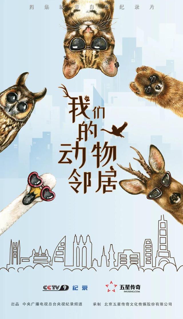 纪录片在哪个平台看不要钱纪录片在哪个平台看不要钱c纪录片在哪个平台看（纪录片在哪个平台看不要钱）