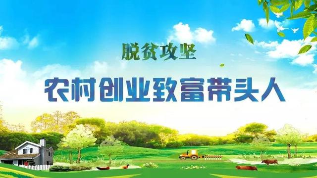 大学生创业成功率高吗，大学生创业成功的几率大吗？