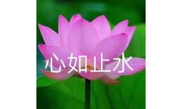drama是什么意思，drama是什么意思网络用语
