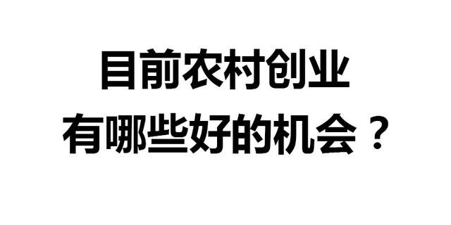 农村创业的好项目养殖业有哪些，适合农村的养殖创业项目？