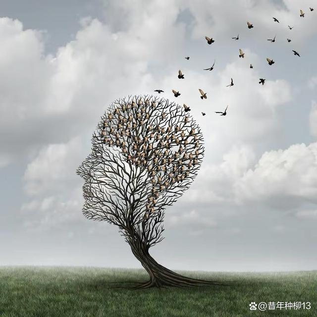 什么是程序设计，什么是程序设计语言？